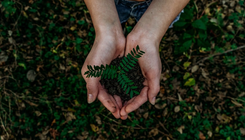 Environmental Science Quiz