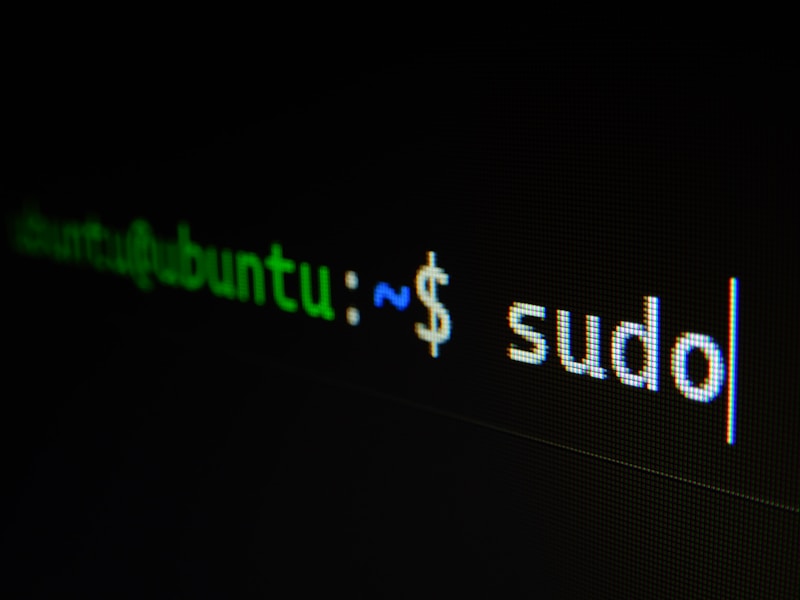 Linux Penguin